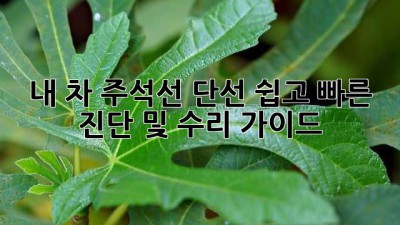 내 차 주석선 단선? 쉽고 빠른 진단 및 수리 가이드