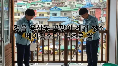 🏡 정읍 용산동 곰팡이 제거 청소, 베이킹소다 & 식초로 싹! ✨