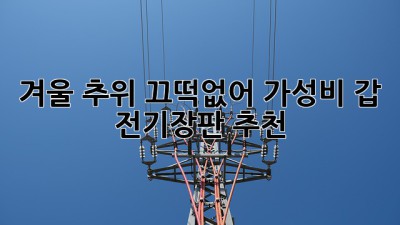 🥶겨울 추위 끄떡없어! 가성비 갑 전기장판 추천🔥