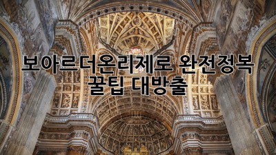 보아르더온리제로 완전정복! ✨꿀팁 대방출🍯